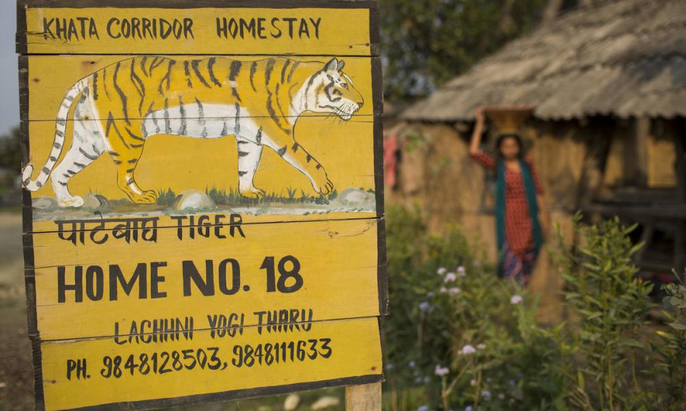 Homestay, in the background, Birsana Yogi is carrying a jar on her head.