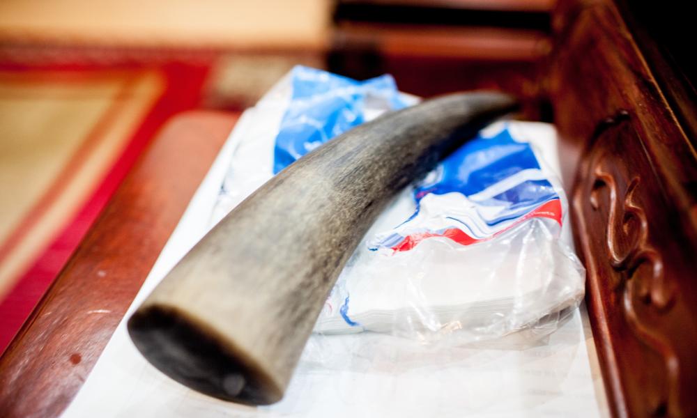 A rhino horn for sale on the table of a black market animal trade dealer at his home in Hanoi, Vietnam.