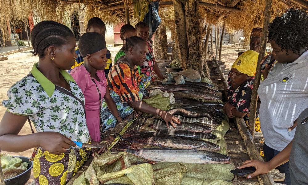 Women fishmongers selling unprocessed fresh fish.