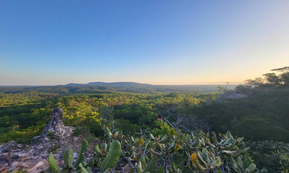 Ruvuma transboundary landscape