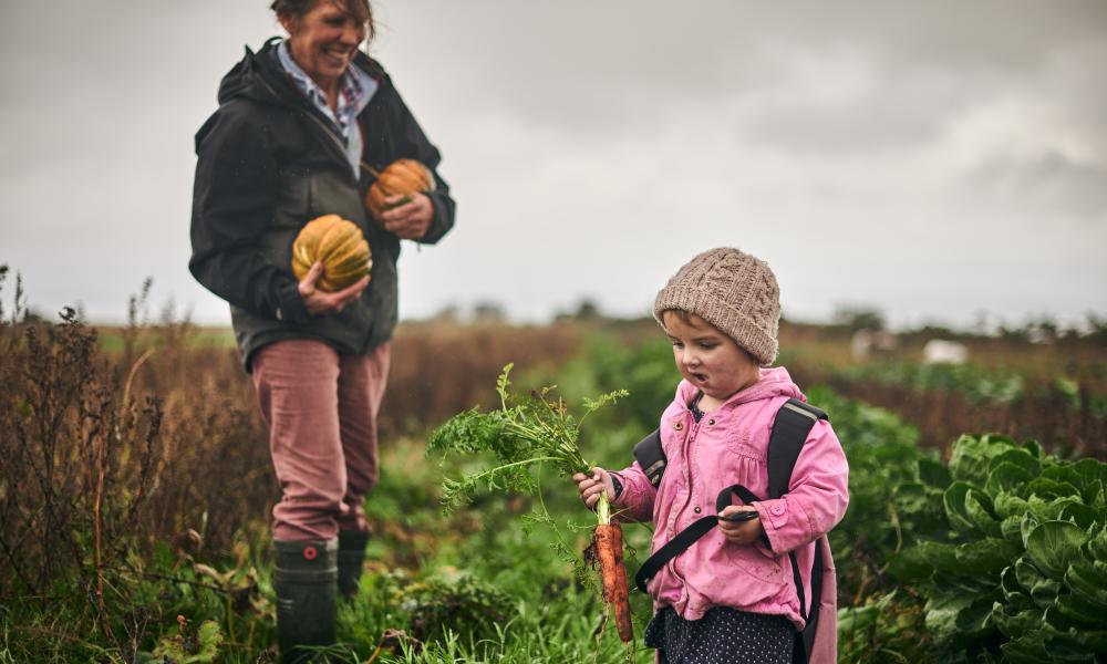 Vegetable picking mother and daughter