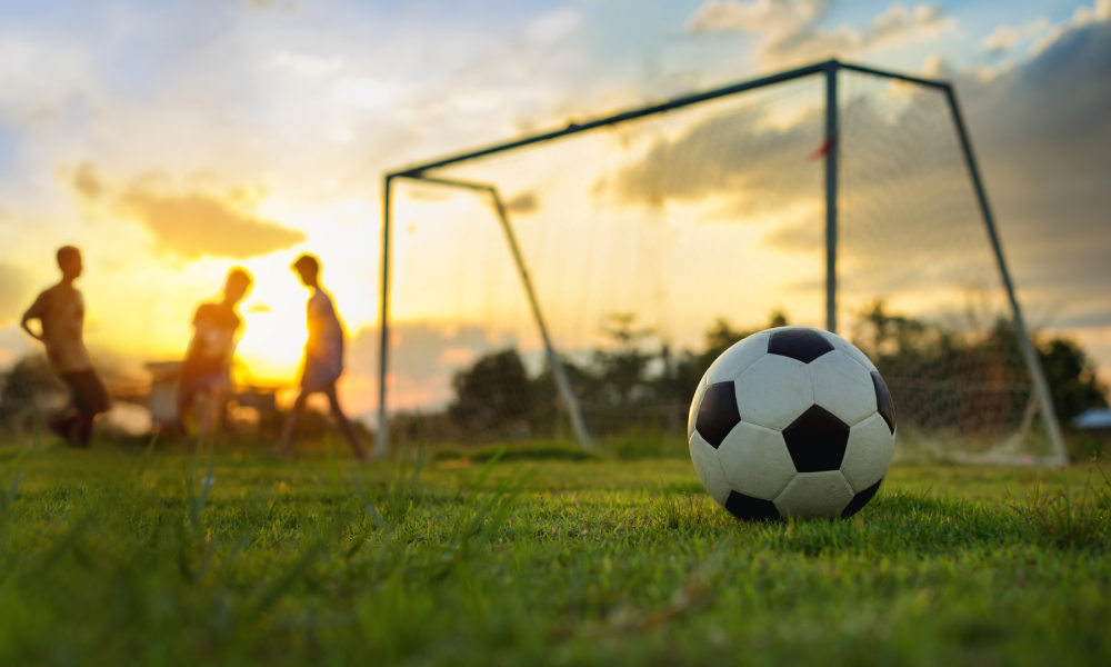 UEFA EURO 2024 Sweepstake WWF