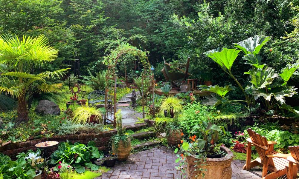 Courtyard garden with pots
