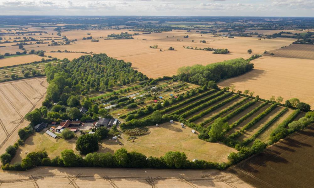 Aerial view of Wakelyns farm, Suffolk. A 23-Acre organic farm