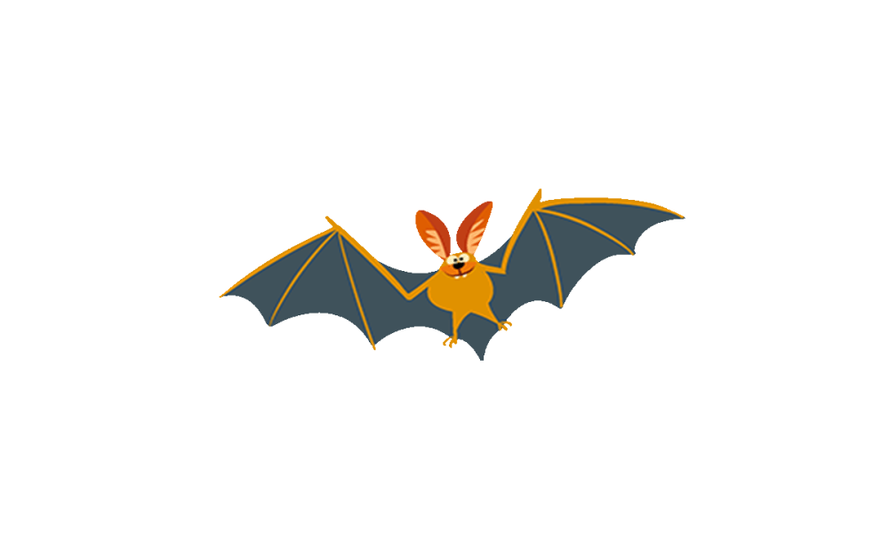 Illustrated bat Illustrated bat