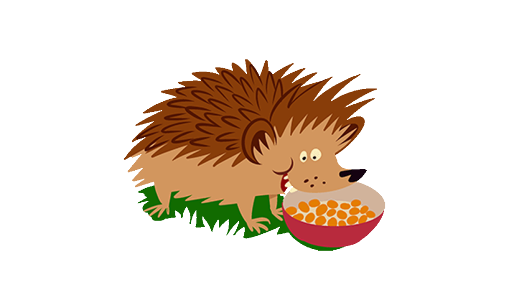 illustrated hedgehog illustrated hedgehog