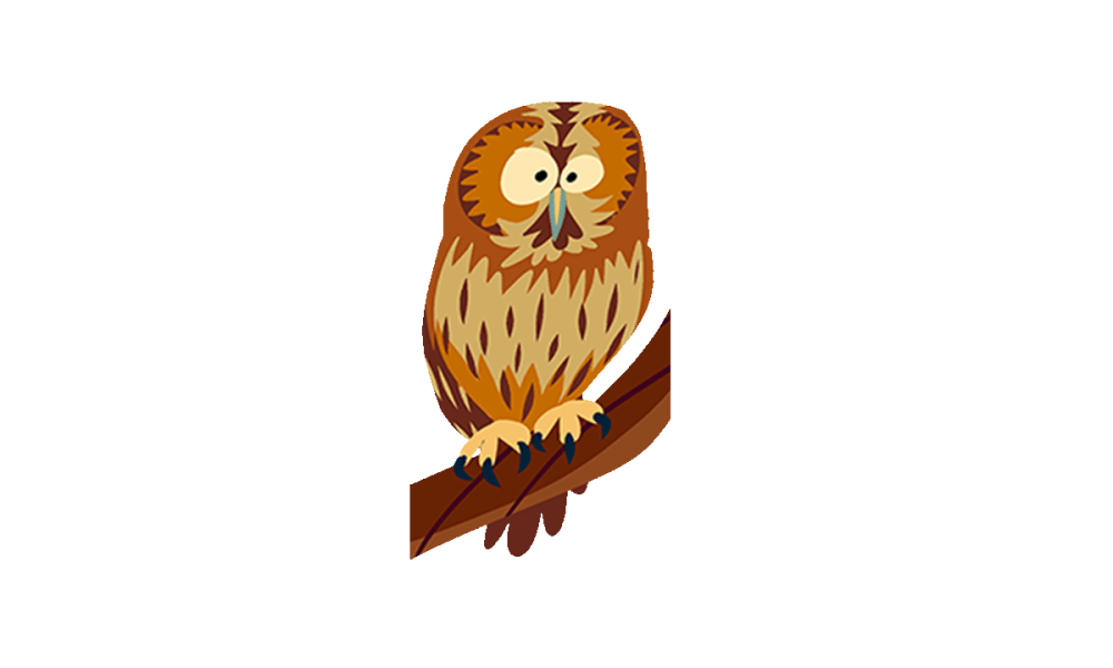 illustrated owl illustrated owl