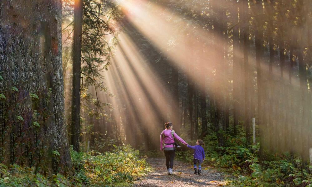 Mother and daughter walking through forest