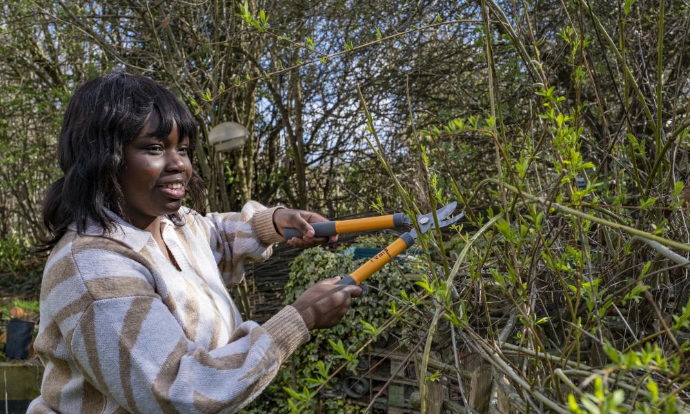 Student using loppers to cut hedgerow