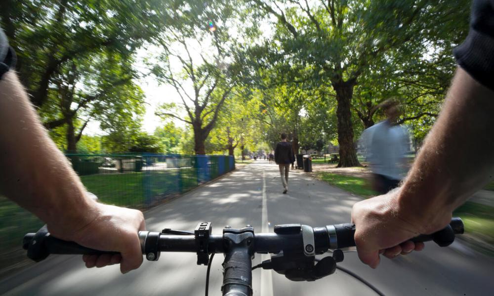 Cycling through a park with pedestrian's