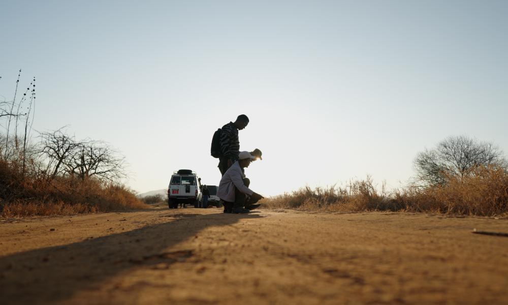 Landscape image of the Mkomazi Lion Census work