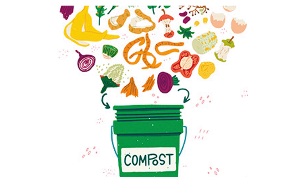compost illustration compost illustration