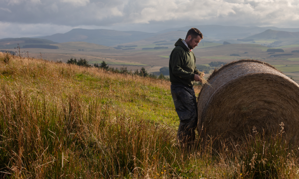 Stuart inspecting hay bales on Whitriggs Farm, The Scottish Borders