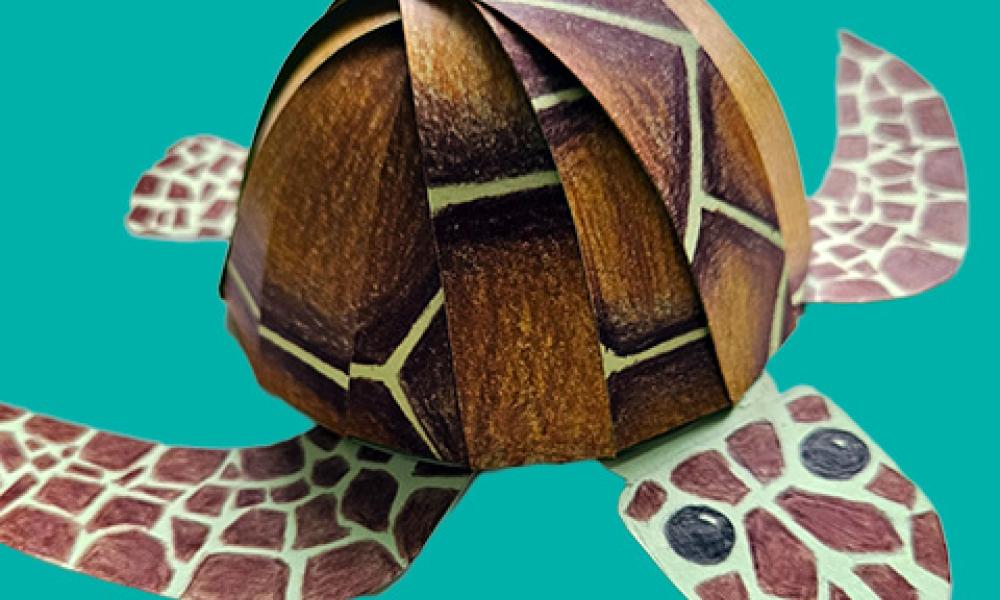 turtle-inset-gemma-lawson.jpg turtle-inset-gemma-lawson.jpg