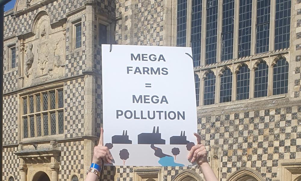 Woman holding up sign saying 'megafarms = mega pollution'