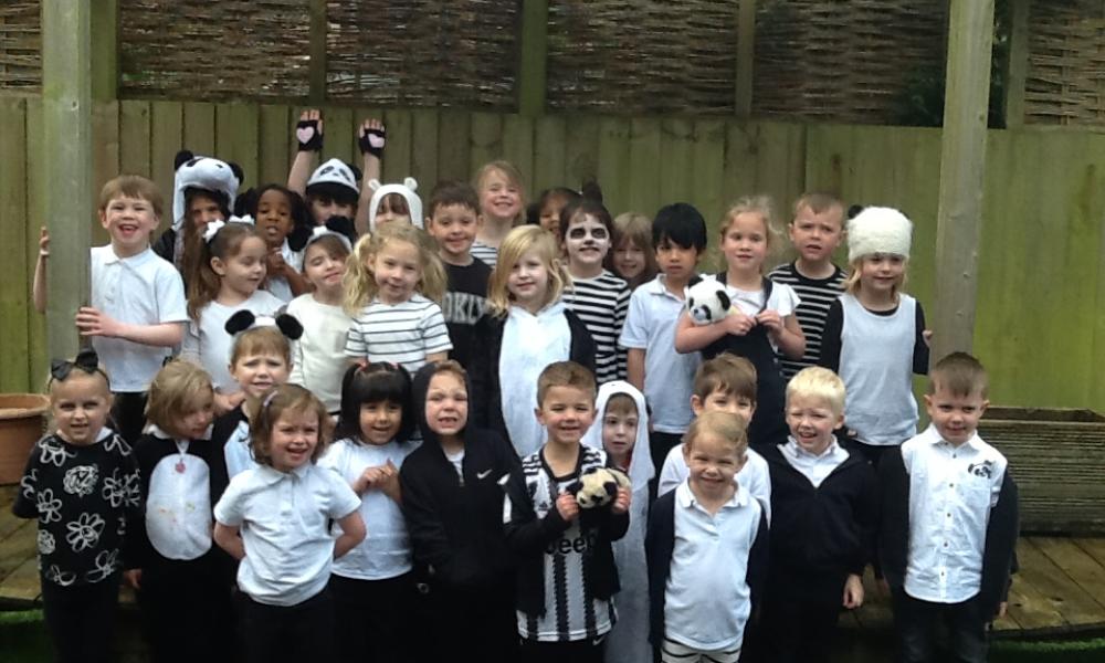 A group of children dressed as pandas in their school playground