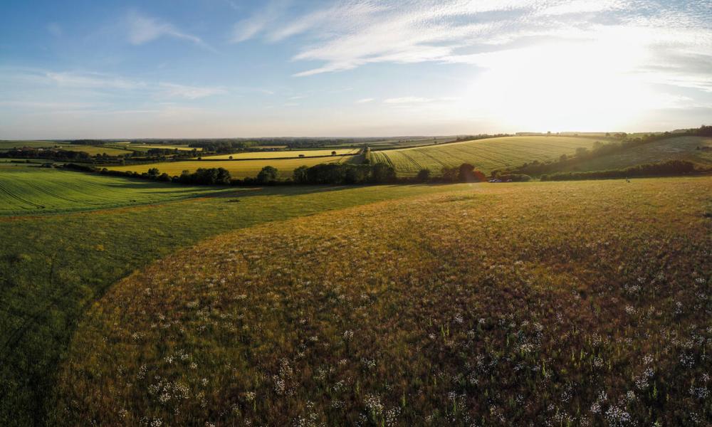 drone panoramic of a wildflower meadow set amongst the patchwork of agricultural fields with barley monocrop in ythe background in Norfolk, UK.