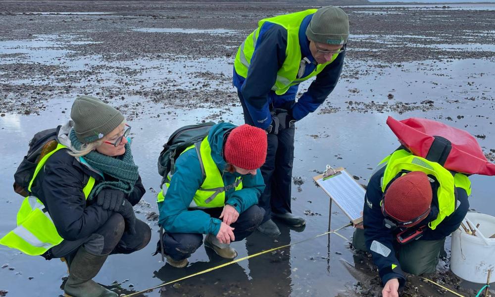 Group of volunteers conducting citizen science on the beach
