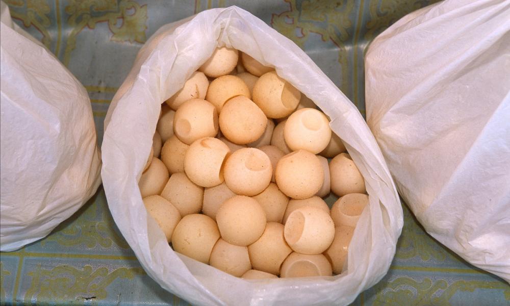 Turtle eggs in plastic bags ready to be sold