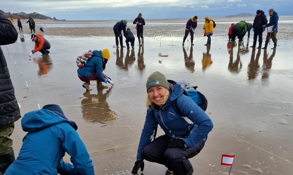 People planting seagrass into sand