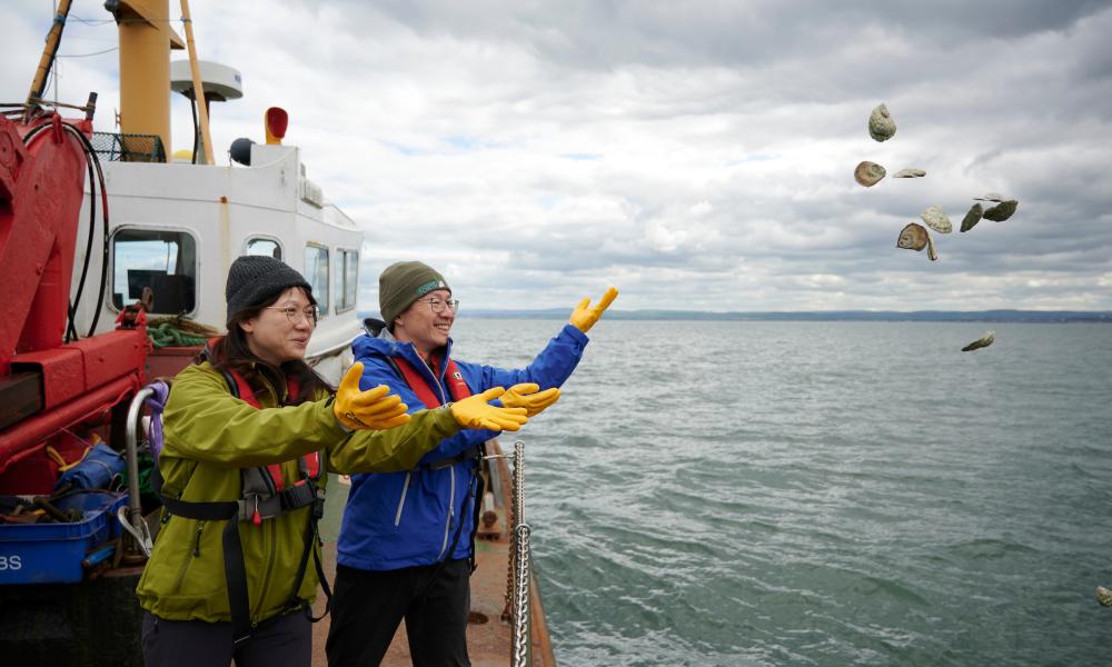 People throwing oysters into the sea