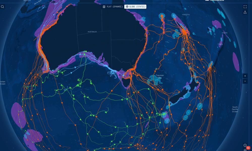 Screenshot of BlueCorridors platform showing whale migration routes