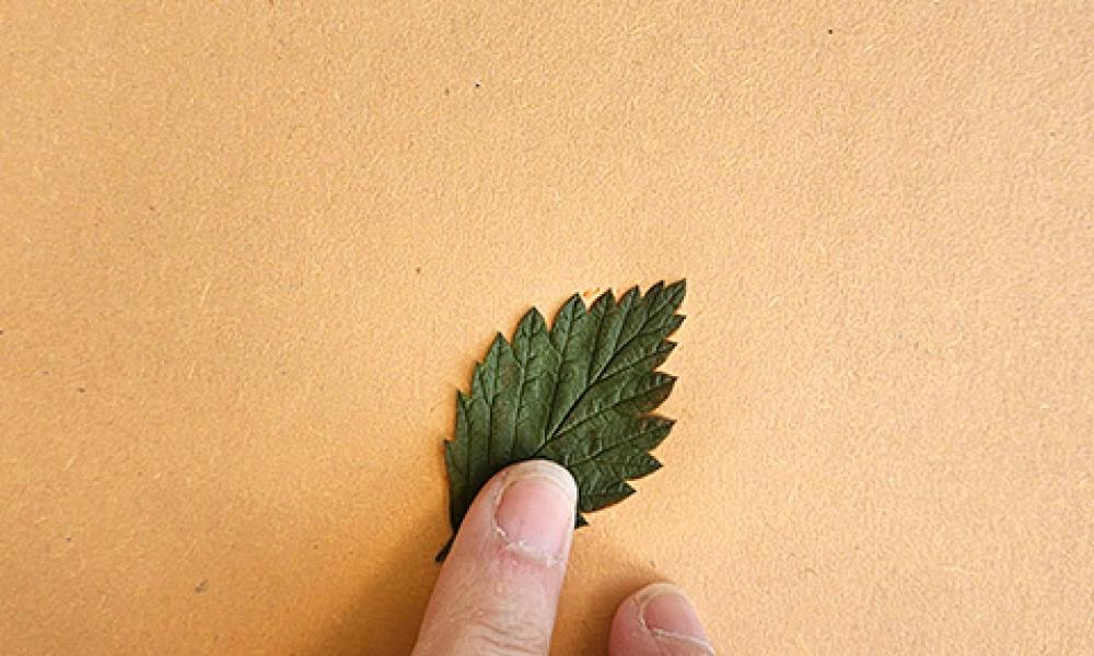 GW Leaf printing step 3