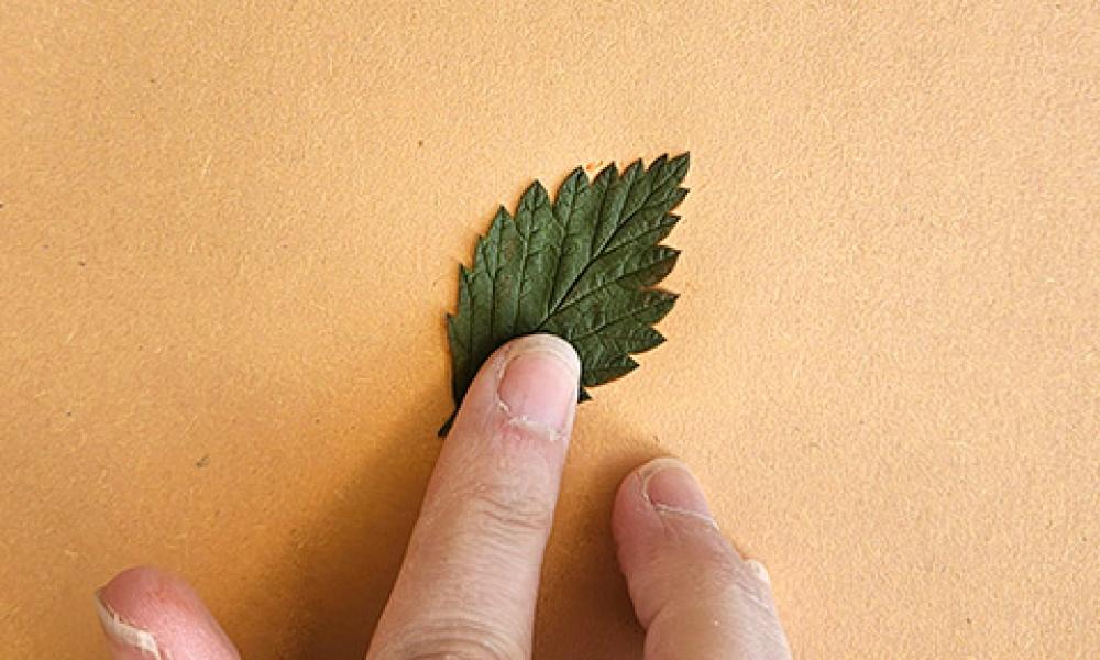 GW Leaf printing step 3