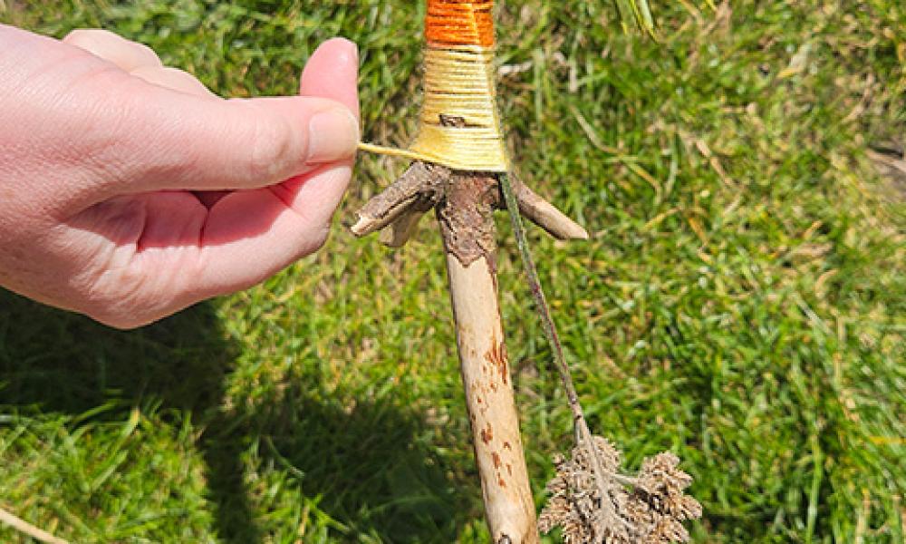 GW Hiking stick step 3 GW Hiking stick step 3