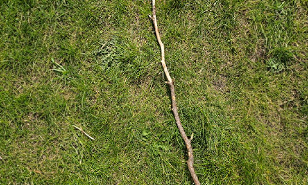 GW Hiking stick step 1 GW Hiking stick step 1