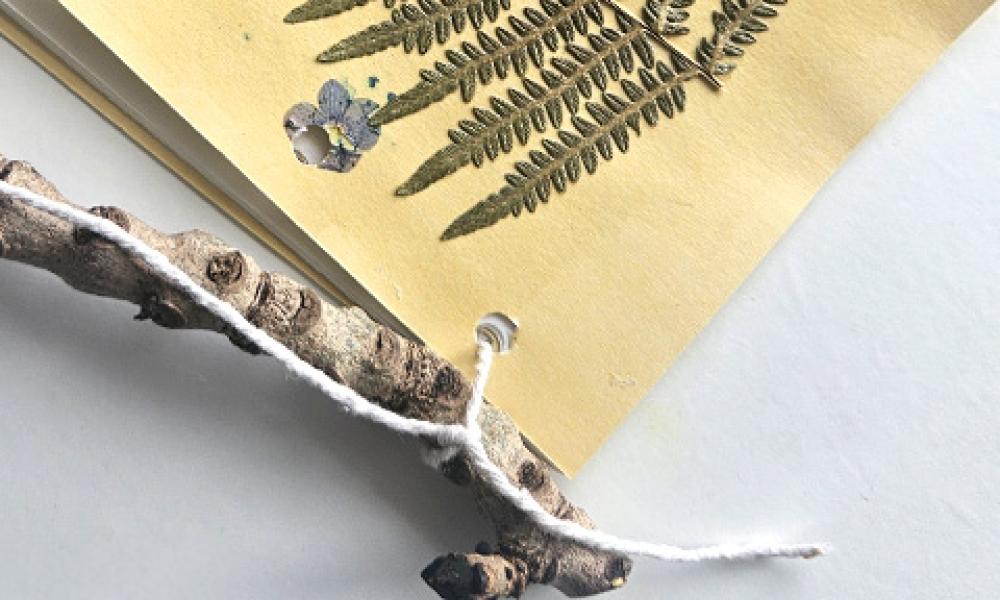 GW Nature book 6