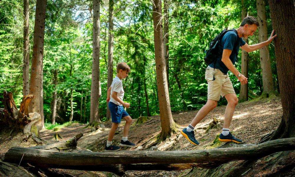 Father and son walking on a log