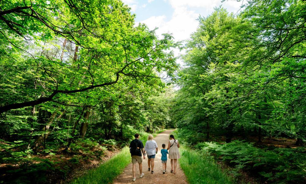 Feel good forest trails family shot through forest