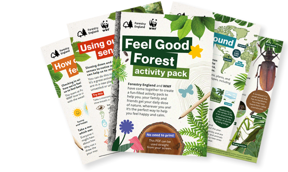 Forestry England activity pack