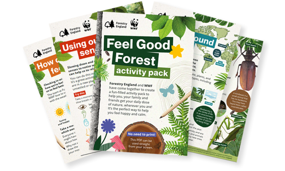 Forestry England activity pack