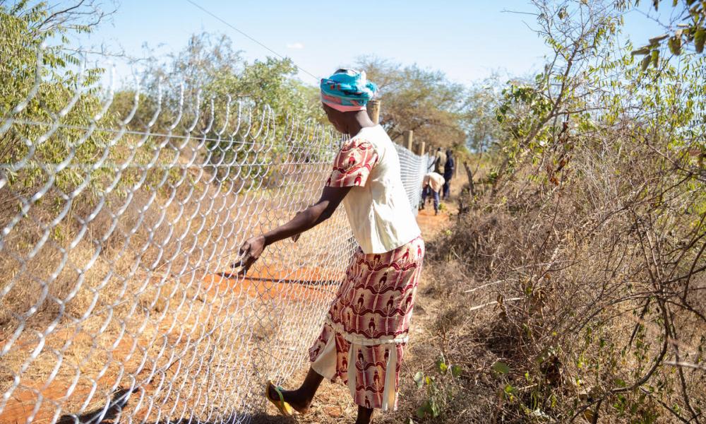 Community members take part in fencing of Bamako Dispensary, in Mgeno, Tsavo, Kenya.