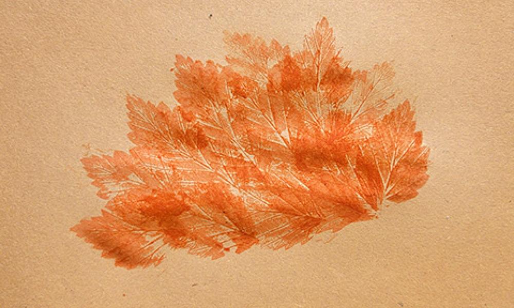 GW Leaf printing step 5