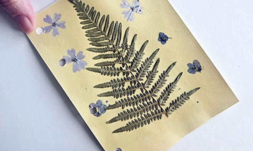 GW Nature book 4