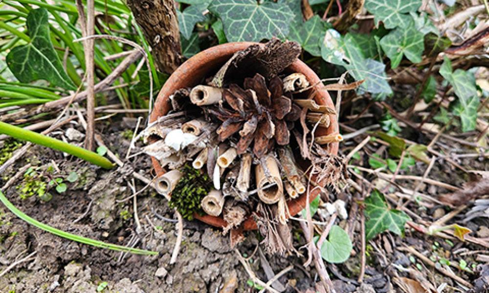 GW Bug hotel finished GW Bug hotel finished