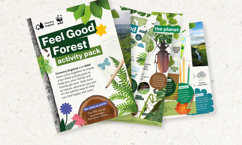 forestry activity banne