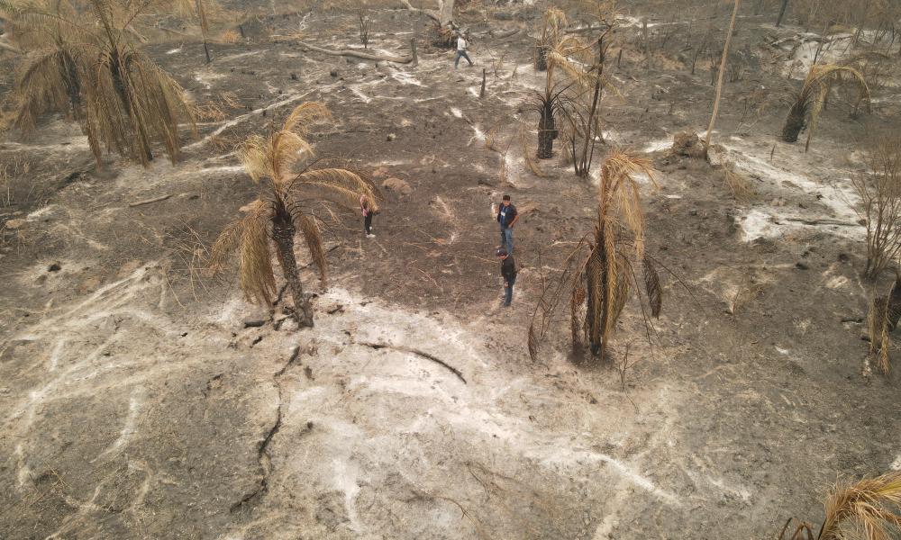 Bolivia Forest fire aftermarth