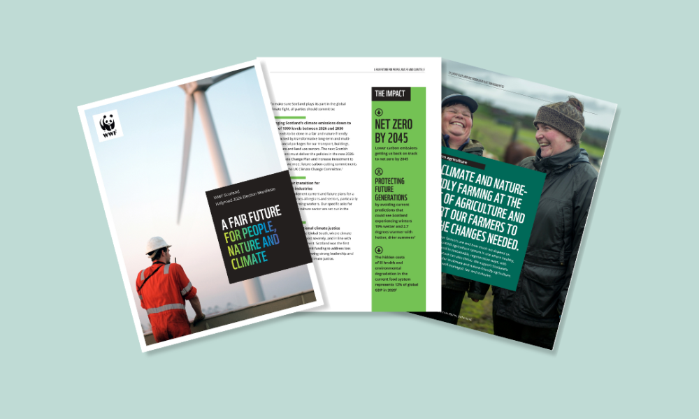 Three spreads from the WWF Scotland 2026 Holyrood Election Manifesto