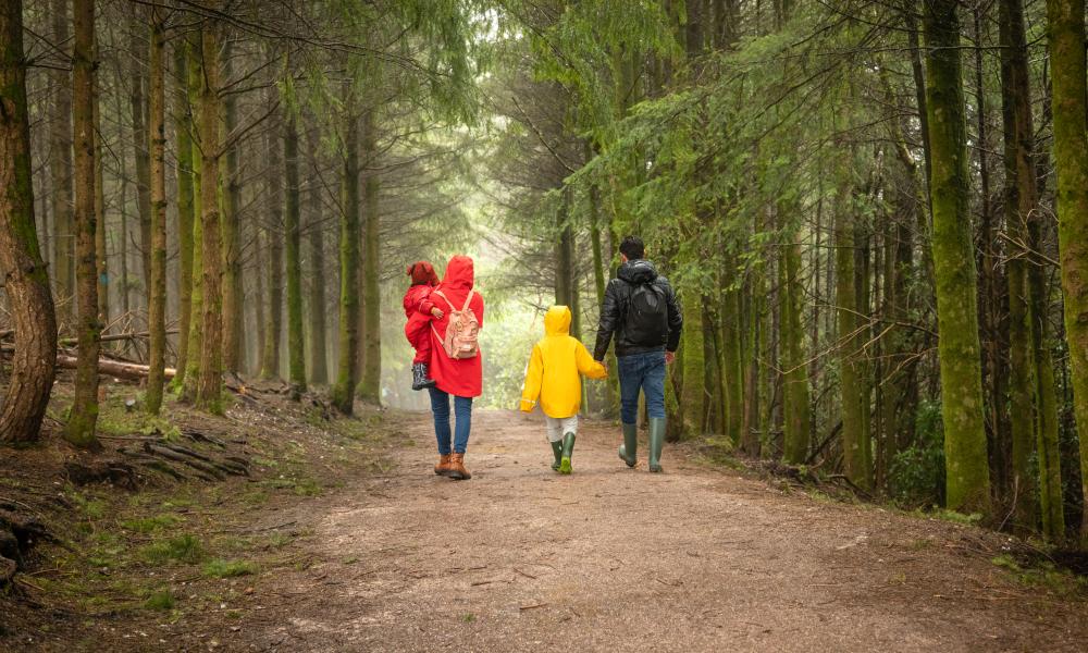 A family in bright coloured coats walking through a forest. 