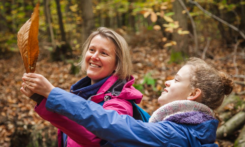 A mother and daughter looking at a leaf in a forest in autumn. 