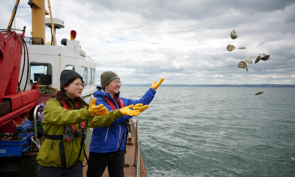 Restoration Forth volunteers from ELREC introduce oysters into the Firth of Forth