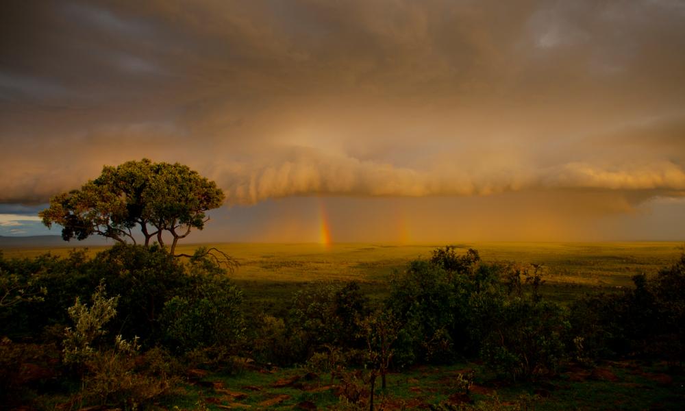 Rainbow appears in storm clouds over the Maasai Mara reserve, Kenya