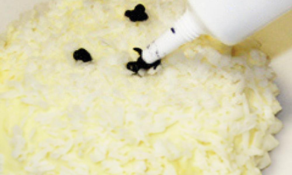 polar bear cubcakes - step 9