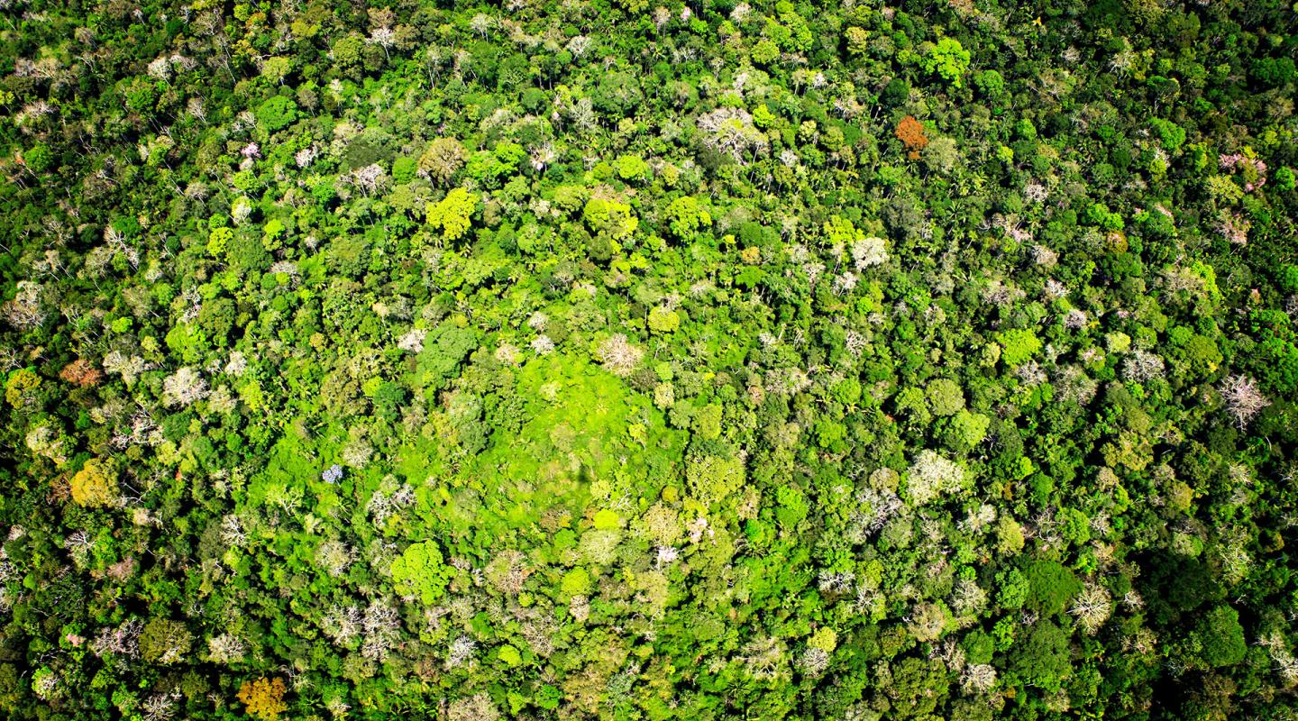 An aerial shot of a vast rainforest canopy in Acre, Brazil