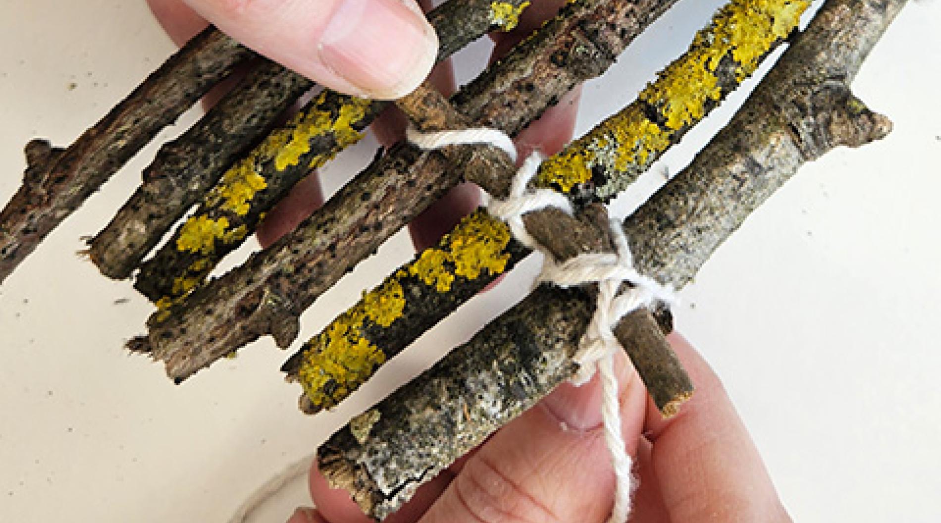 Build a twig raft | WWF