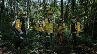 Firefighter brigade team in Amazon rainforest 